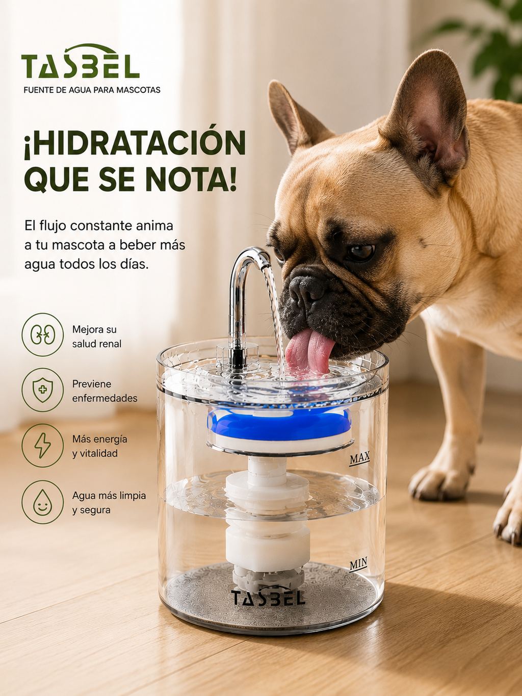 🐾 Fuente de Agua Inteligente para Perros y Gatos | Agua Fresca 24/7